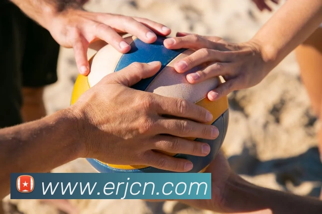 App Interface Preview